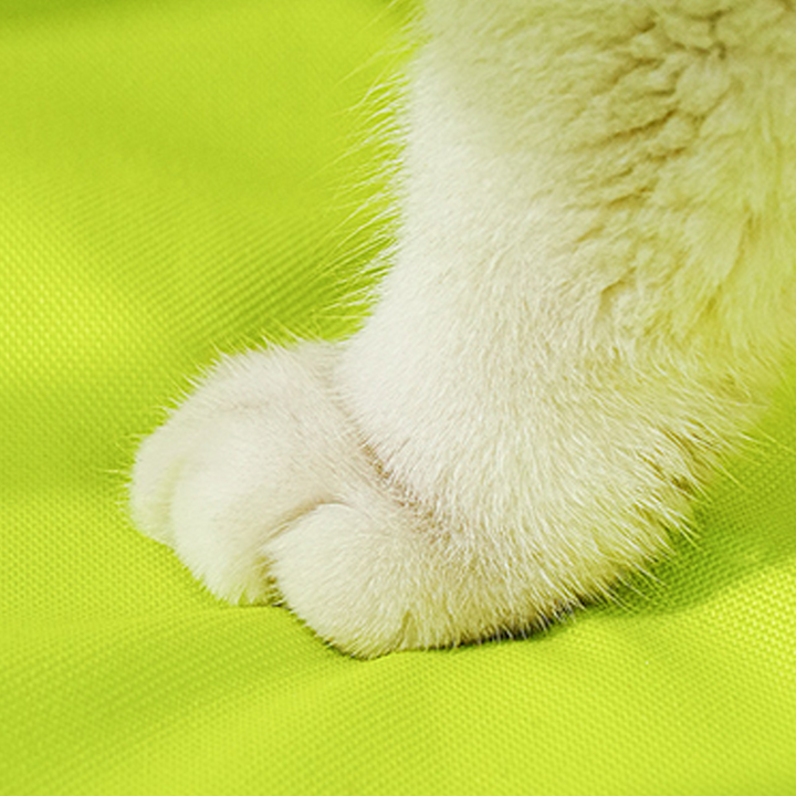 Tent Nook Cat Bed